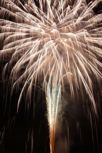 Low angle view of firework display at night