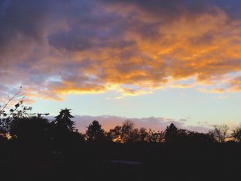 Low angle view of silhouette trees against sky during sunset