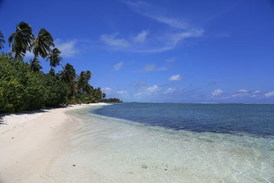 Scenic view of beach against blue sky