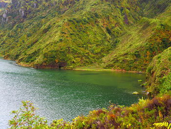 High angle view of lake amidst trees in forest