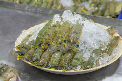 Close-up of fish in plate