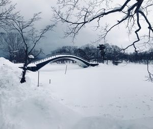 Snow covered field by trees against sky