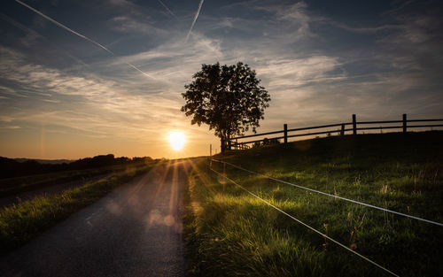 Road amidst trees on field against sky at sunset