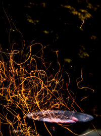 Close-up of illuminated fire at night