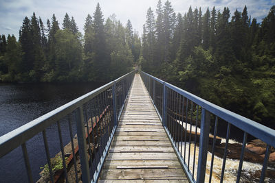 Footbridge amidst trees in forest