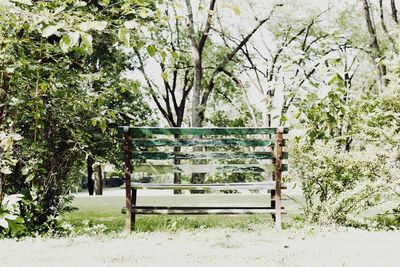 Empty bench in park