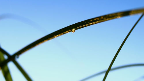 Low angle view of metal fence against blue sky