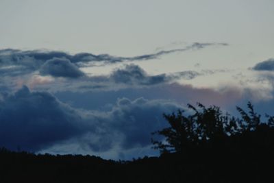 Low angle view of silhouette trees against sky