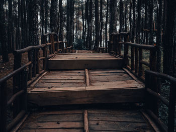 Empty bench in forest