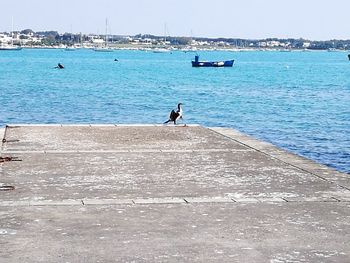 Man on boat in sea against sky