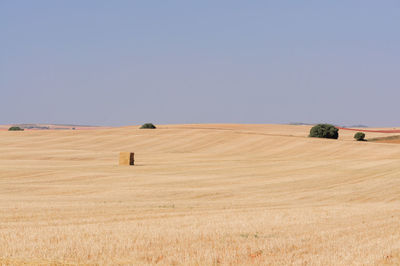 Hay bales on field against clear sky