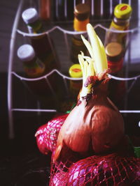 Close-up of onion on kitchen counter