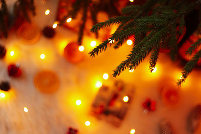 Close-up of illuminated christmas tree at night