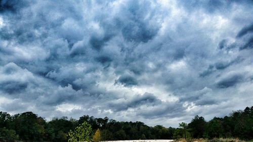 Low angle view of trees against cloudy sky