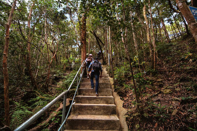 Man walking on staircase in forest