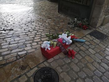 High angle view of red rose on footpath