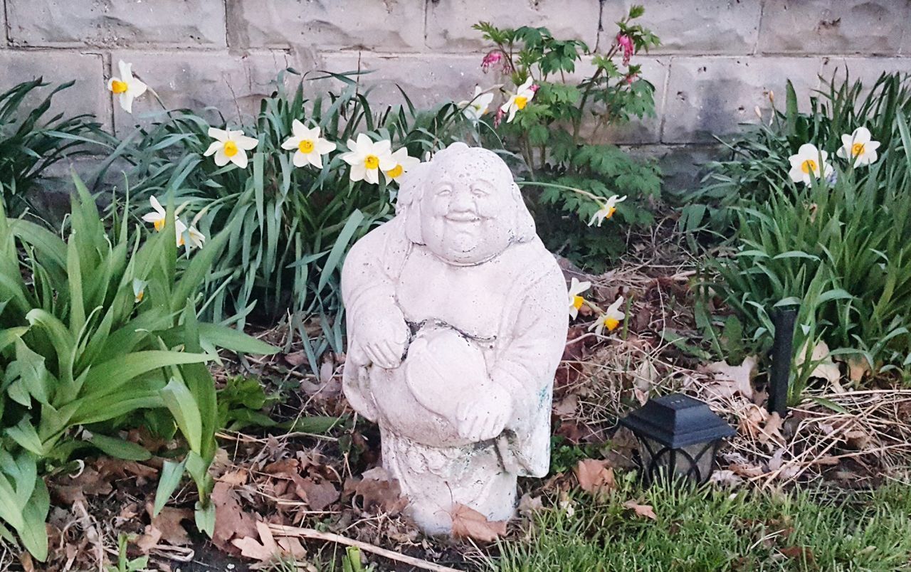 STATUE OF BUDDHA AND PLANTS