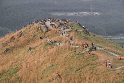 High angle view of people on field against sky