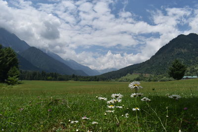 Scenic view of field and mountains against sky