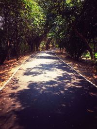 Scenic view of trees