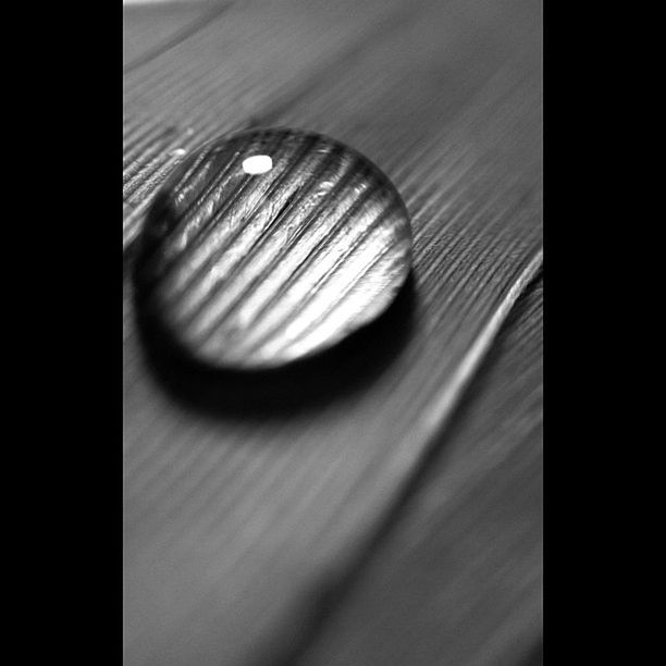 indoors, close-up, auto post production filter, pattern, transfer print, selective focus, no people, textured, full frame, shadow, sunlight, backgrounds, reflection, detail, high angle view, abstract, transparent, night, dark, glass - material