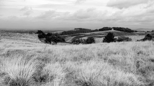 Scenic view of field against cloudy sky