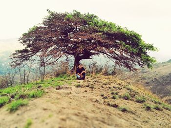 Man on tree against sky