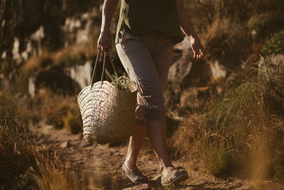 Low section of woman with bag walking on land