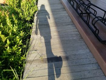 High angle view of shadow on footpath during sunny day