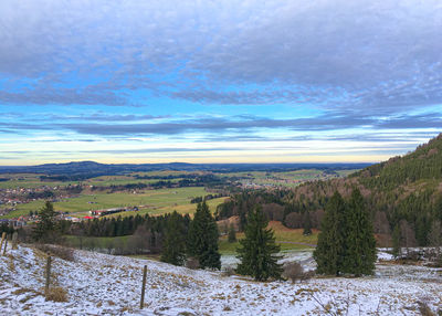 Scenic view of trees on field against sky during winter