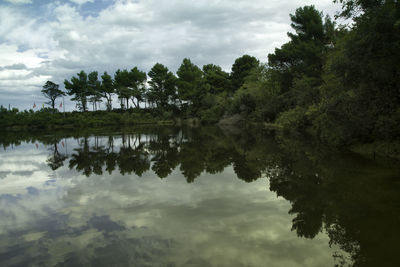 Reflection of trees in lake against sky