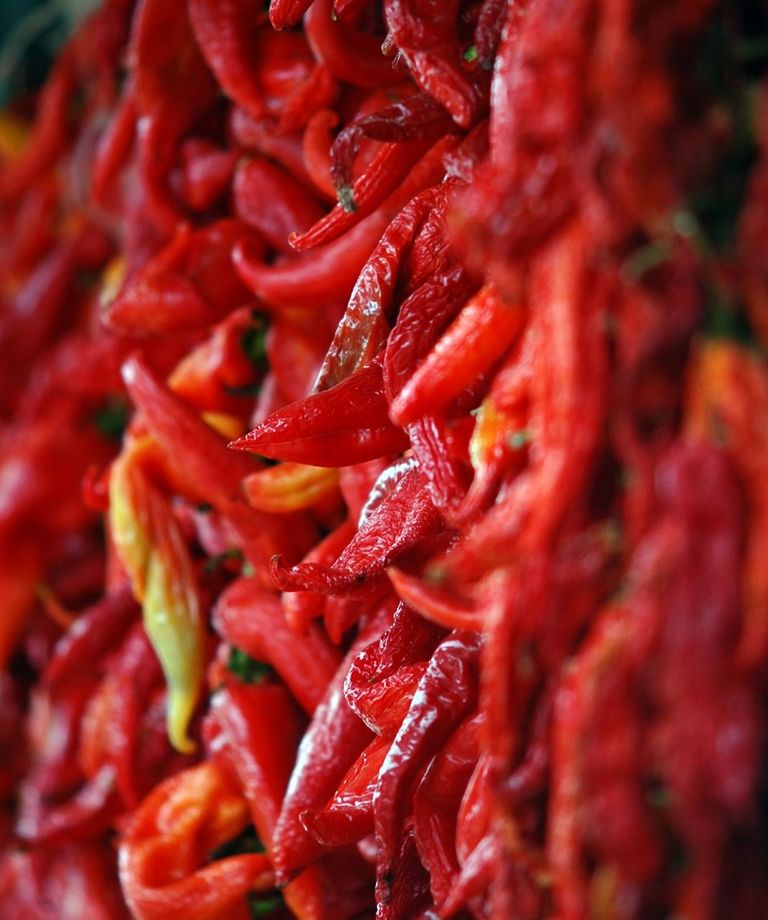 FULL FRAME SHOT OF RED CHILI