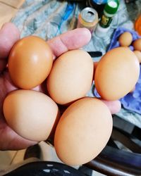 High angle view of eggs in container