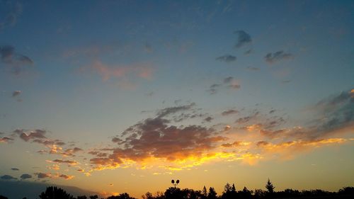 Silhouette trees against sky during sunset