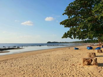 Scenic view of beach against sky