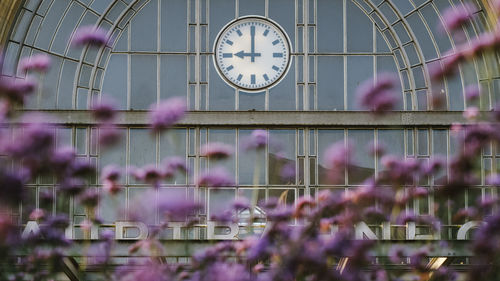 Trainstation time clock flowers railway