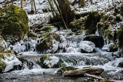 River flowing through rocks in forest