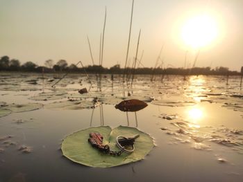 Scenic view of lake against sky during sunset