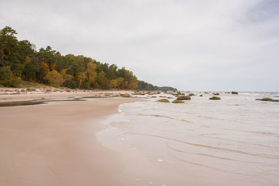 Scenic view of beach against sky