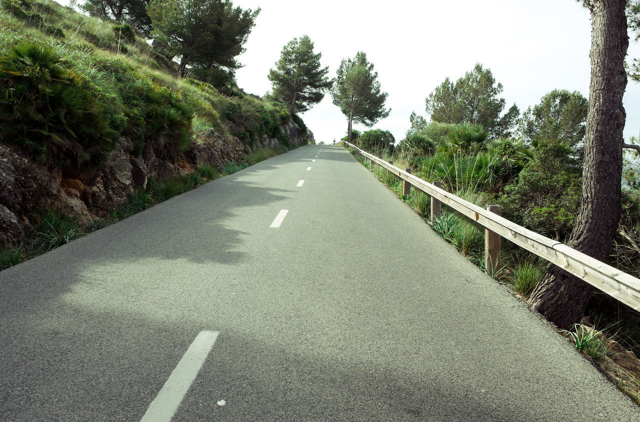 EMPTY ROAD ALONG TREES AND PLANTS