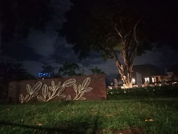 Illuminated tree on field against sky at night