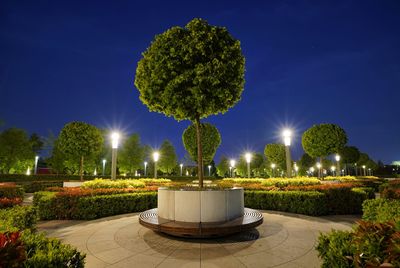 View of illuminated park at night