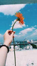 Close-up of hand holding flower against sea