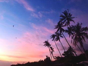 Low angle view of silhouette coconut palm trees against sky