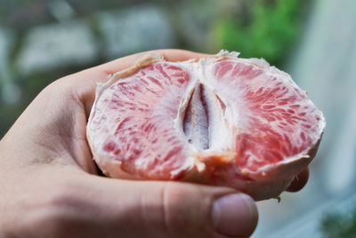 Close-up of hand holding apple