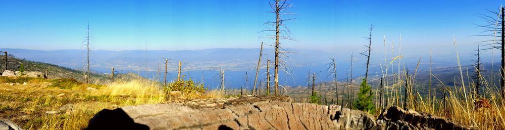 Scenic view of landscape against blue sky