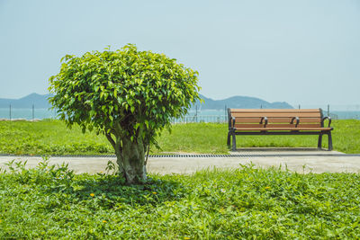 Empty bench on field against clear sky