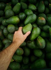 High angle view of green apples for sale in market