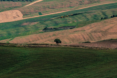 Scenic view of rural landscape