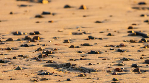 Full frame shot of sand dune